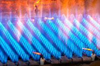 Butteryhaugh gas fired boilers